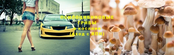 амф Алексин