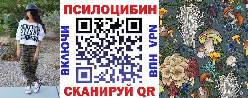 Псилоцибиновые грибы ЛСД где можно купить наркотик это клад Жуков
