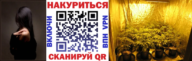 Каннабис OG Kush  наркотики  omg ССЫЛКА  Жуков 